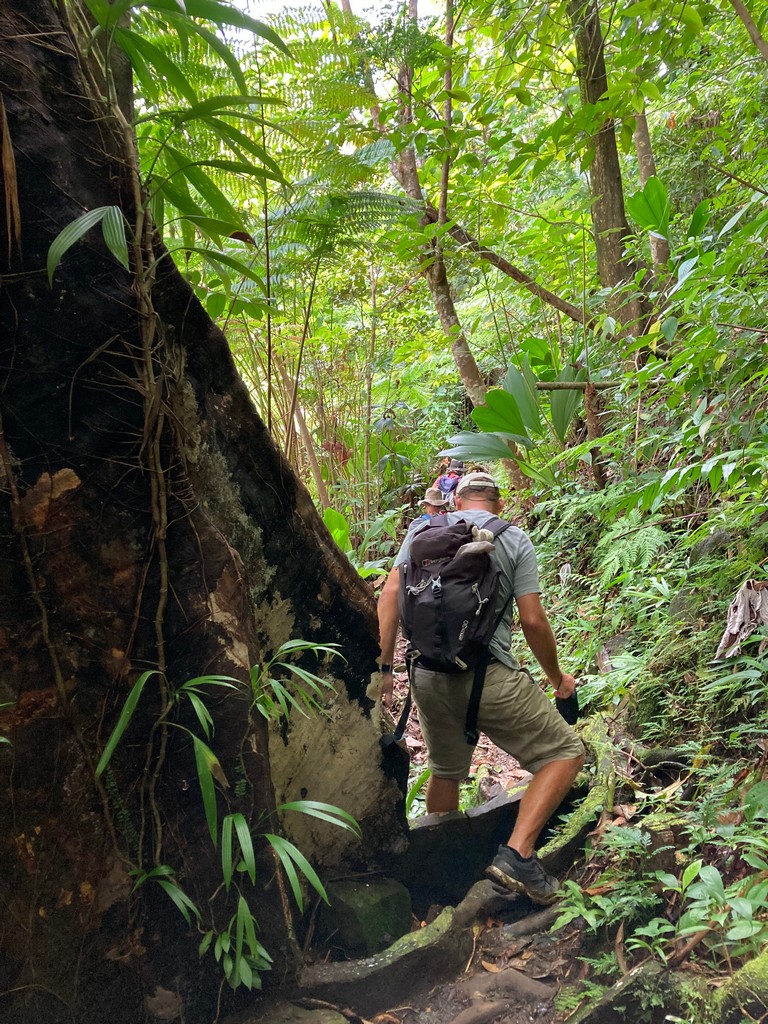 Iain leads the way into the jungle.