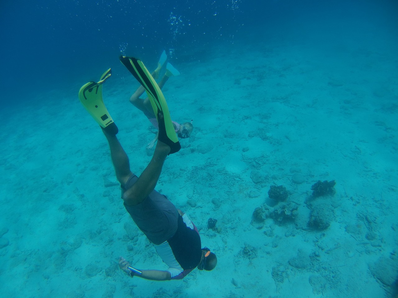 The freediving is proving to be quite successful.
