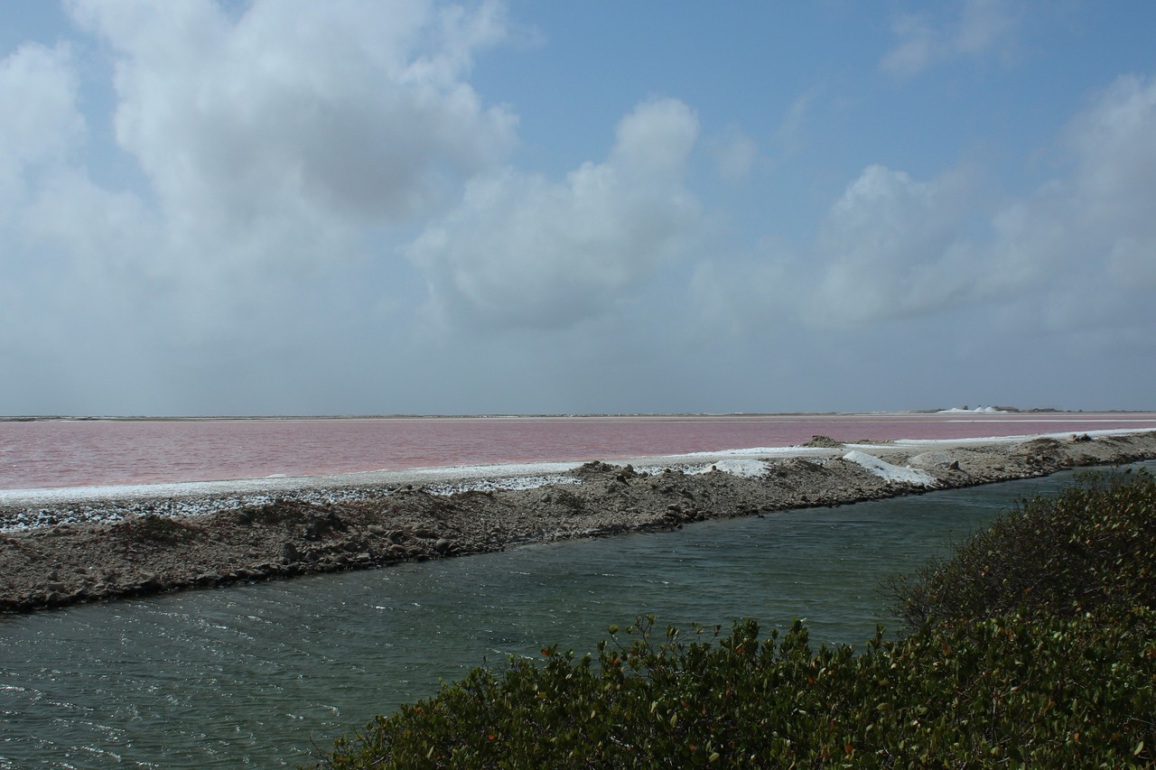 Bonaire’s blue water is changed to pink.