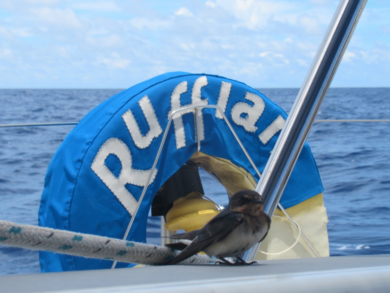 Ruffian acquires another crew member.