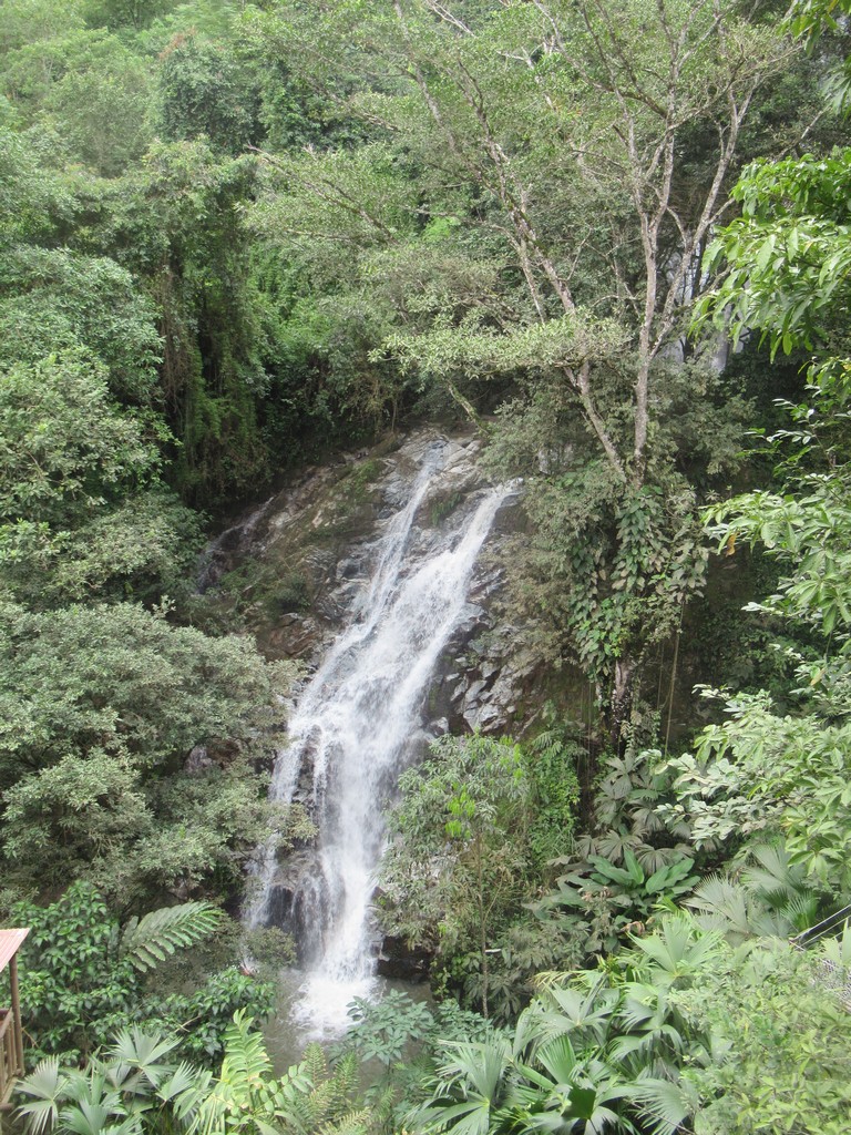 The waterfalls hide in the jungle.