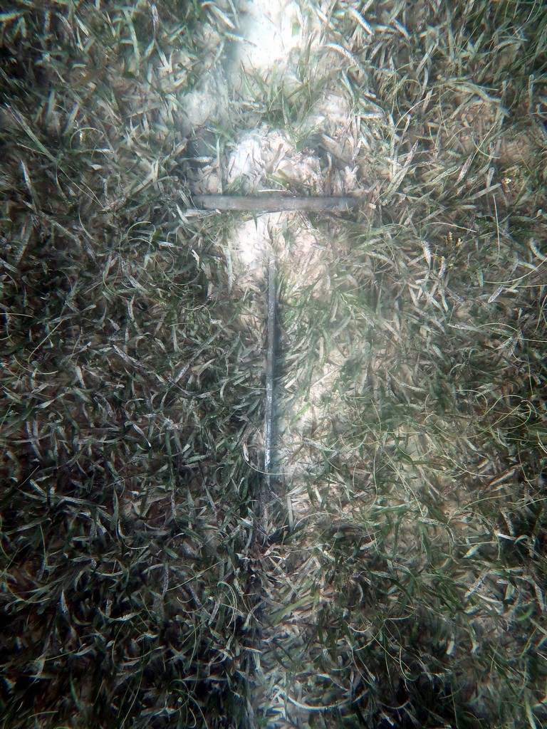 Anchor in weed and sand they said.