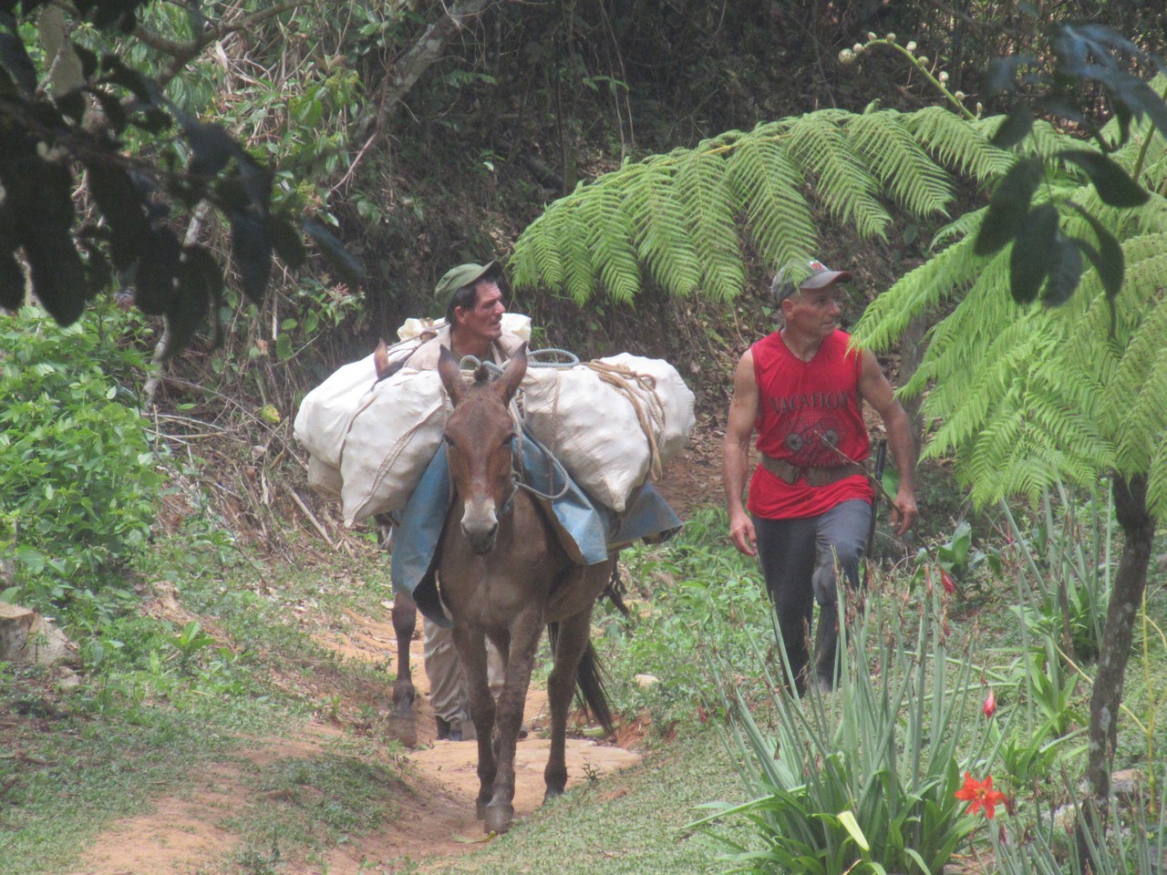 Local mountain transport.