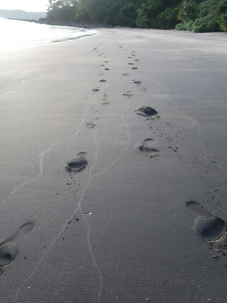 The only footprints.