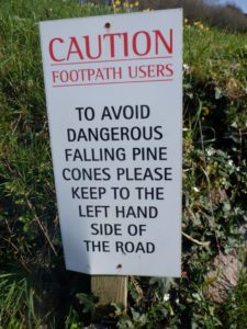 Including the danger of falling pine cones!