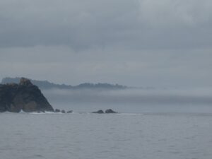 The joy of sea fog.