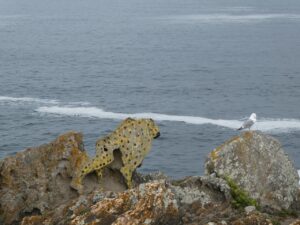 Even the rocks are tuned to hunt seagulls.
